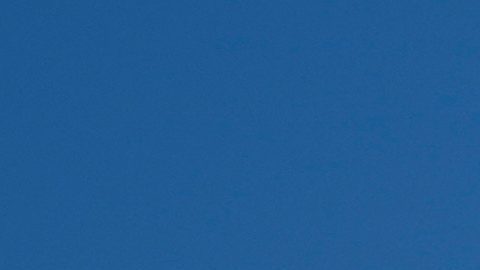 Varios estados del noreste impugnan el uso de fondos federales destinados a cancelar contratos de desarrollo eólico marino cerca de sus costas.