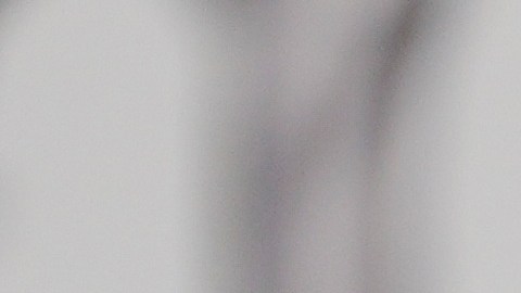 La demanda dice que las acciones de la universidad "posibilitaron la divulgación coordinada y persistente de información personal" de activistas.
