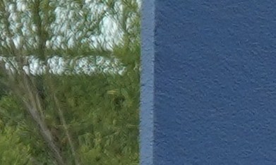 Varias personas se congregan a las afueras del Centro de Procesamiento de ICE del Sur de Texas, donde se encuentra detenido Wilber Rafael Garces Pérez, un venezolano que recibió un disparo de un agente de ICE, en Pearsall, Texas, el miércoles 23 de septiembre de 2026.