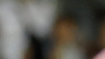 Messi exhibió su talento al anotar un espectacular gol de tiro libre.