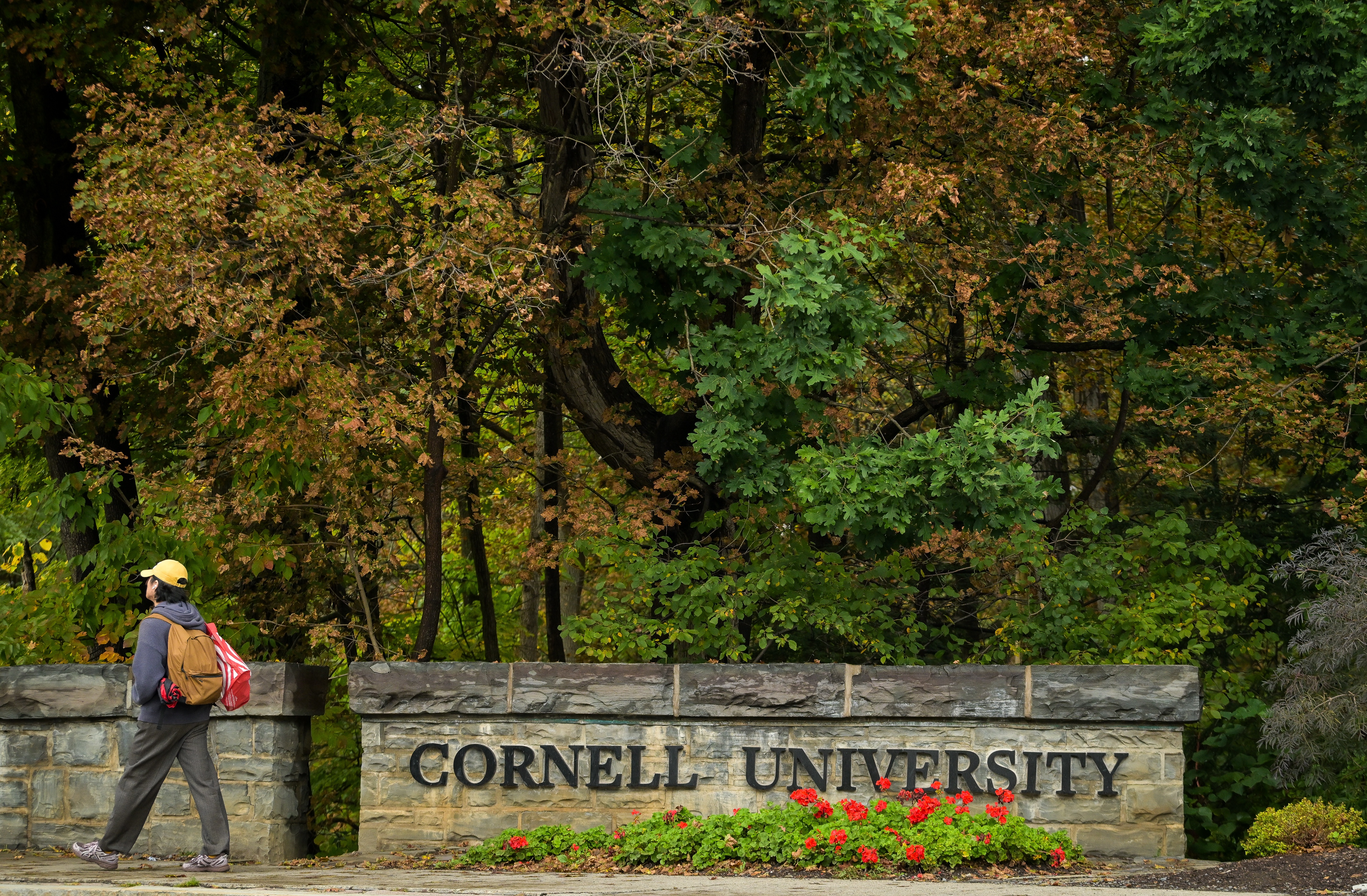 Líderes de Nueva York exigen investigación exhaustiva por presunta violación grupal en Cornell University