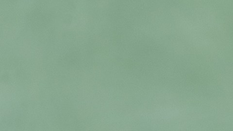 Los brotes de brócoli contaminados se distribuyeron en tiendas minoristas de Washington, Idaho y Montana.