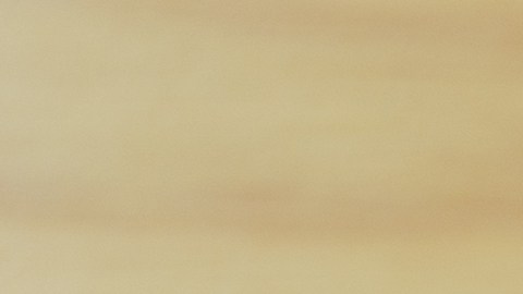 Comparación de colores en la carne de cerdo: descubre el tono rosa pálido ideal frente a tonos grisáceos o verdosos de descomposición