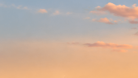 Aviones de Delta Air Lines en un aeropuerto de Nueva York al atardecer, con el skyline de Manhattan al fondo.