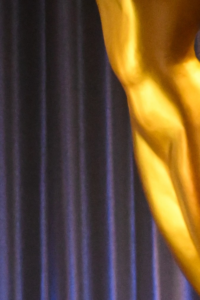 Wendi McLendon-Covey y David Alan anunciaron el premio Rob Reiner.