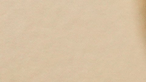 Florence Pugh criticó la manera en la que las universidades enfrentan esta problemática.