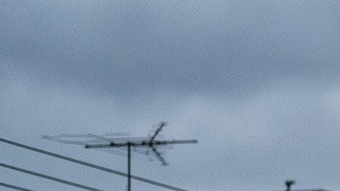 Las tendencias ponen de relieve la necesidad de implementar medidas de prevención integrales y adaptadas a la población.