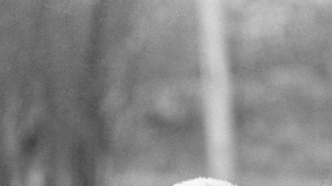 Su trabajo como activista la convirtió en una de las figuras más influyentes de su generación