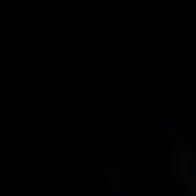 La pulpa de la guanábana se puede disfrutar en porciones pequeñas, pero su consumo requiere moderación por su contenido de anonacinas
