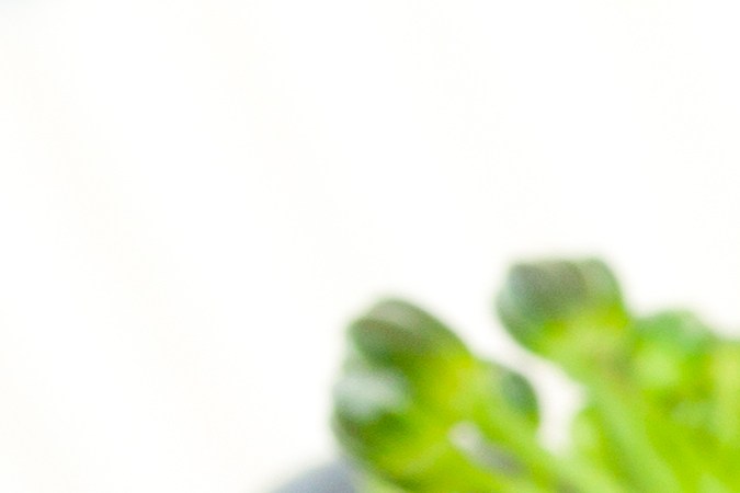 Cultivo casero de brotes de brócoli, una fuente potente de sulforafano para activar los mecanismos de defensa celular y proteger la barrera intestinal.