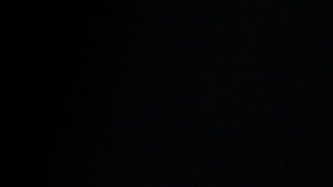 Matthew Perry murió el 28 de octubre de 2023.