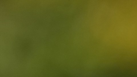 Meghan Markle quiere que su nuevo hogar tenga un estudio de grabación.