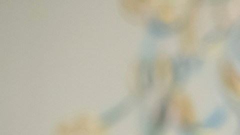 Mike Waltz evita respaldar cambio de régimen en Irán y dice que Teherán aún puede negociar