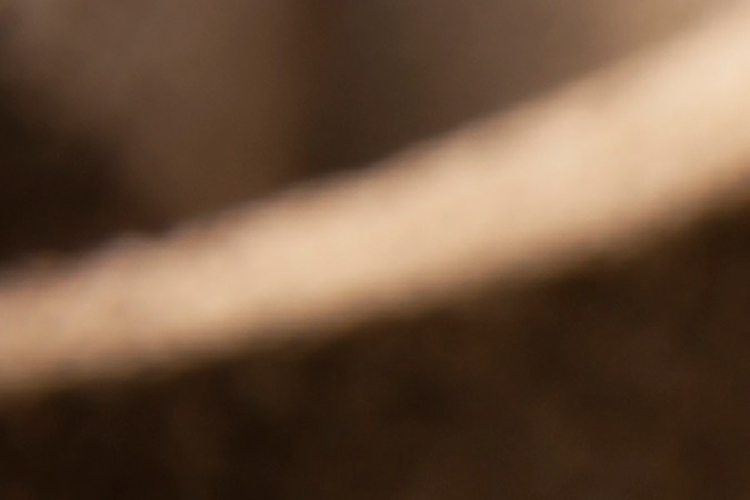 El nopal y el aceite de oliva extra virgen son alimentos clave que estimulan las células L del intestino para producir GLP-1 de forma natural.