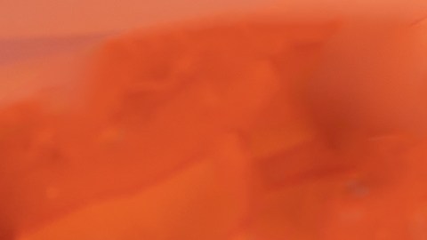 Las autoridades recomiendan verificar la fecha de consumo preferente en la esquina superior derecha del empaque antes de consumirlo.