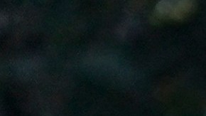 Tom Holland es el protagonista de la película más taquillera de Norteamérica.