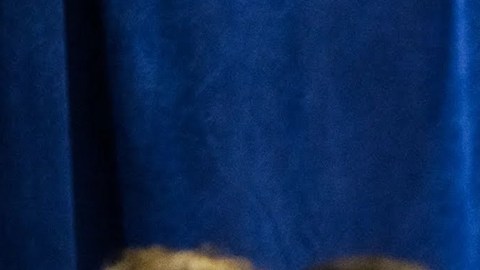 Trump afirma que habló con Delcy Rodríguez sobre elecciones en Venezuela “Ella fue muy amable y fantástica”