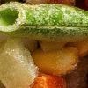 El escaldado previo en verduras como la zanahoria o el brócoli detiene el deterioro enzimático y fija su color característico.