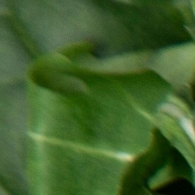 ¿Cuántos aguacates hay que comer al día? Un experto en alimentos responde basándose en la ciencia