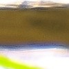 Los pescados ricos en omega-3, como el salmón y las sardinas, ayudan a activar la enzima lipasa para reducir los triglicéridos.