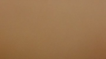 El remojo de frutos secos altera la textura, pero no logra una reducción significativa de los fitatos.