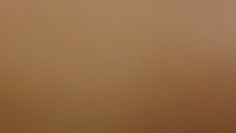 El remojo de frutos secos altera la textura, pero no logra una reducción significativa de los fitatos.