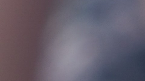 Una sola pizca de sucralosa o stevia basta para endulzar tus bebidas sin sumar calorías. La clave está en la dosis.