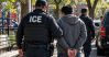 Agentes de ICE realizan un arresto cerca de un parque en Queens, Nueva York.