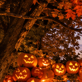 Evento nocturno de otoño con miles de calabazas iluminadas alrededor de una mansión histórica y visitantes caminando entre las luces.