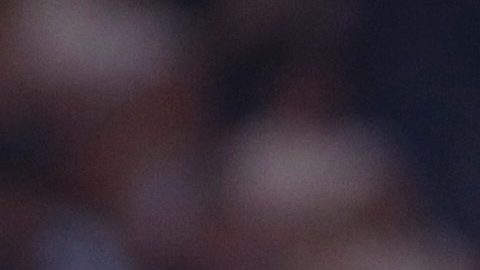 Luis Enrique, DT de PSG
