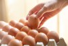 Descartar el consumo de los lotes de huevos afectados y desinfectar el refrigerador son pasos clave para evitar infecciones por salmonelosis.