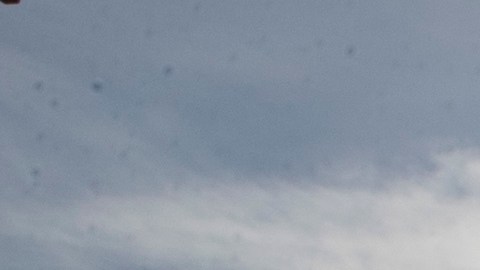 Para el domingo, se estima que haya un clima soleado y fresco con temperaturas máximas de 59 °F.