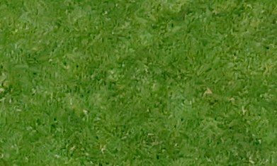 Staff place a FIFA logo on the pitch prior to the World Cup round of 16 soccer match between Argentina and Egypt in Atlanta, Tuesday, July 7, 2026. (AP Photo/Butch Dill)