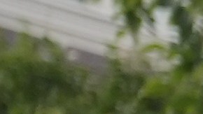 El presidente Donald Trump habla con los periodistas junto a Elon Musk en la Casa Blanca en Washington, el martes 29 de septiembre de 2026, tras reunirse con altos ejecutivos de empresas de inteligencia artificial.