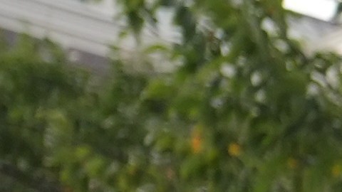 El presidente Donald Trump habla con los periodistas junto a Elon Musk en la Casa Blanca en Washington, el martes 29 de septiembre de 2026, tras reunirse con altos ejecutivos de empresas de inteligencia artificial.
