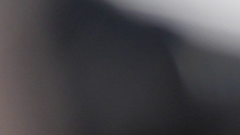 Trump aseguró que ha resuelto "quizás, la destrucción total del mundo".