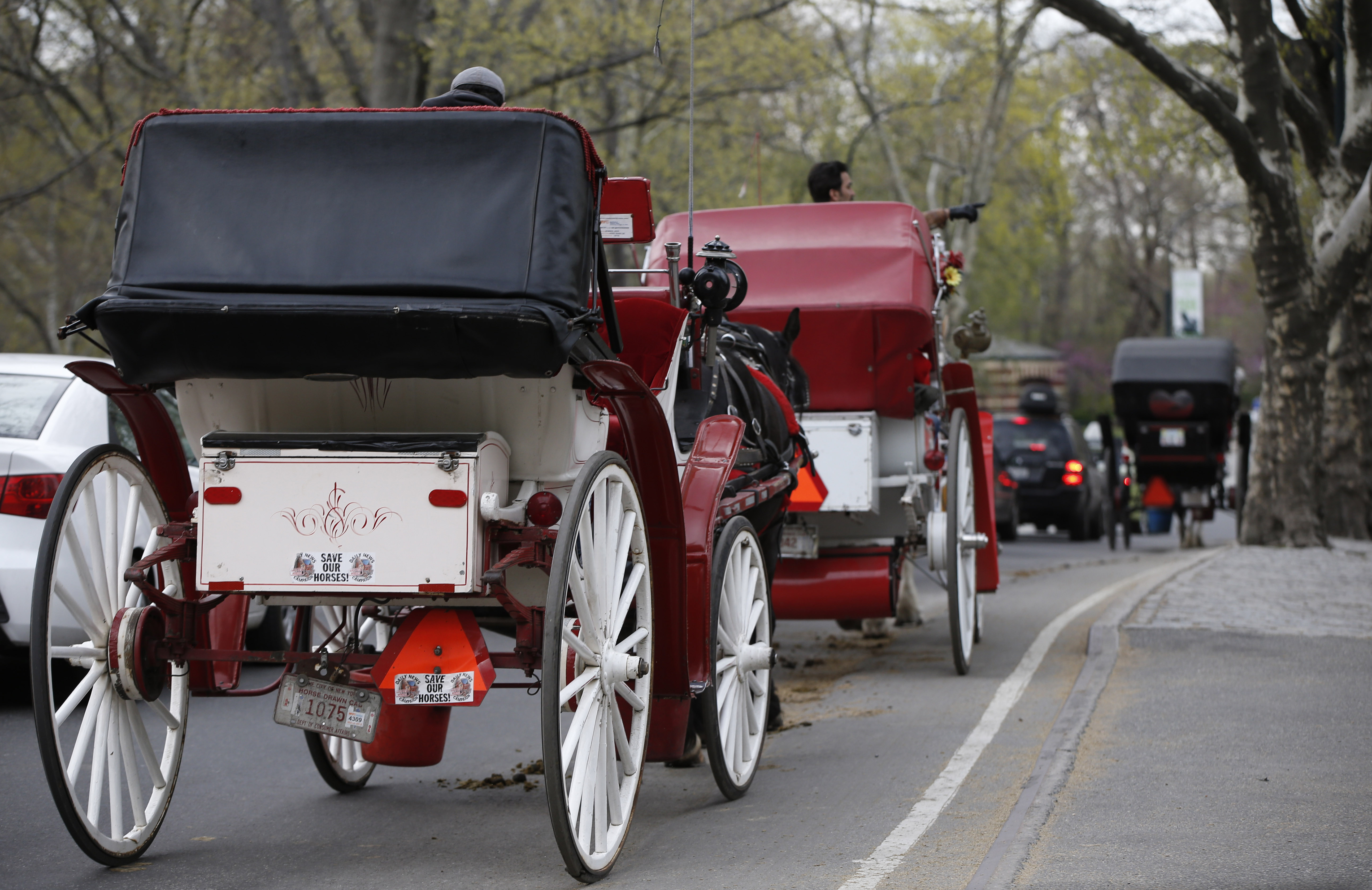 Nueva York se prepara para retirar los carruajes de caballos de sus calles en 2028