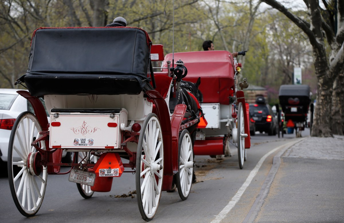 Nueva York se prepara para retirar los carruajes de caballos de sus calles en 2028