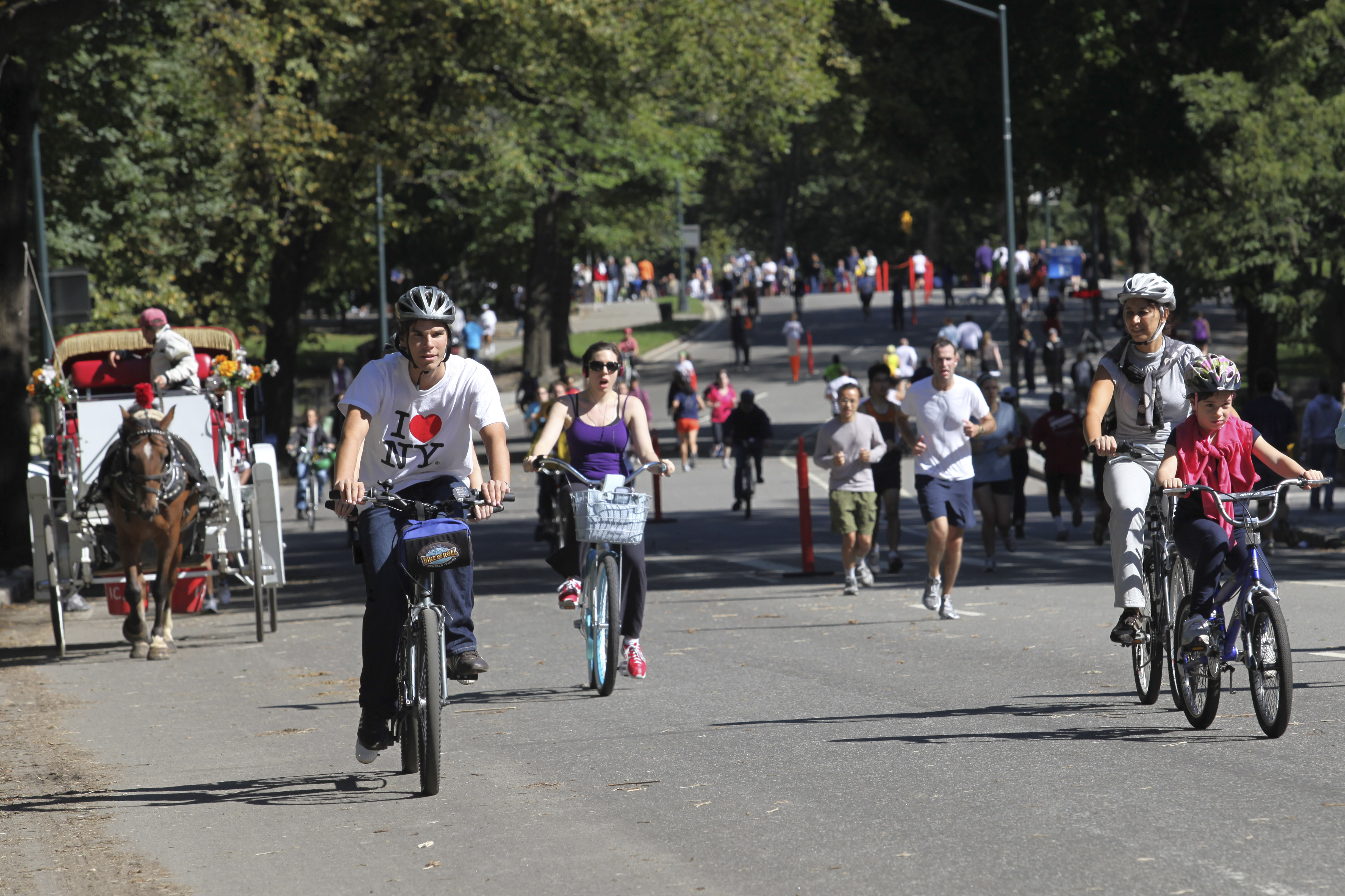 Ciclista de 71 años muere tras chocar con un perro en Central Park