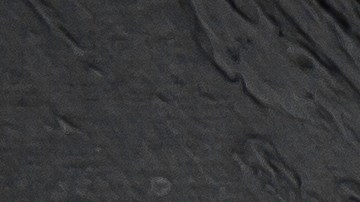 Un análisis de rutina del Departamento de Agricultura de Nueva York detectó la bacteria en los mariscos importados desde Letonia.