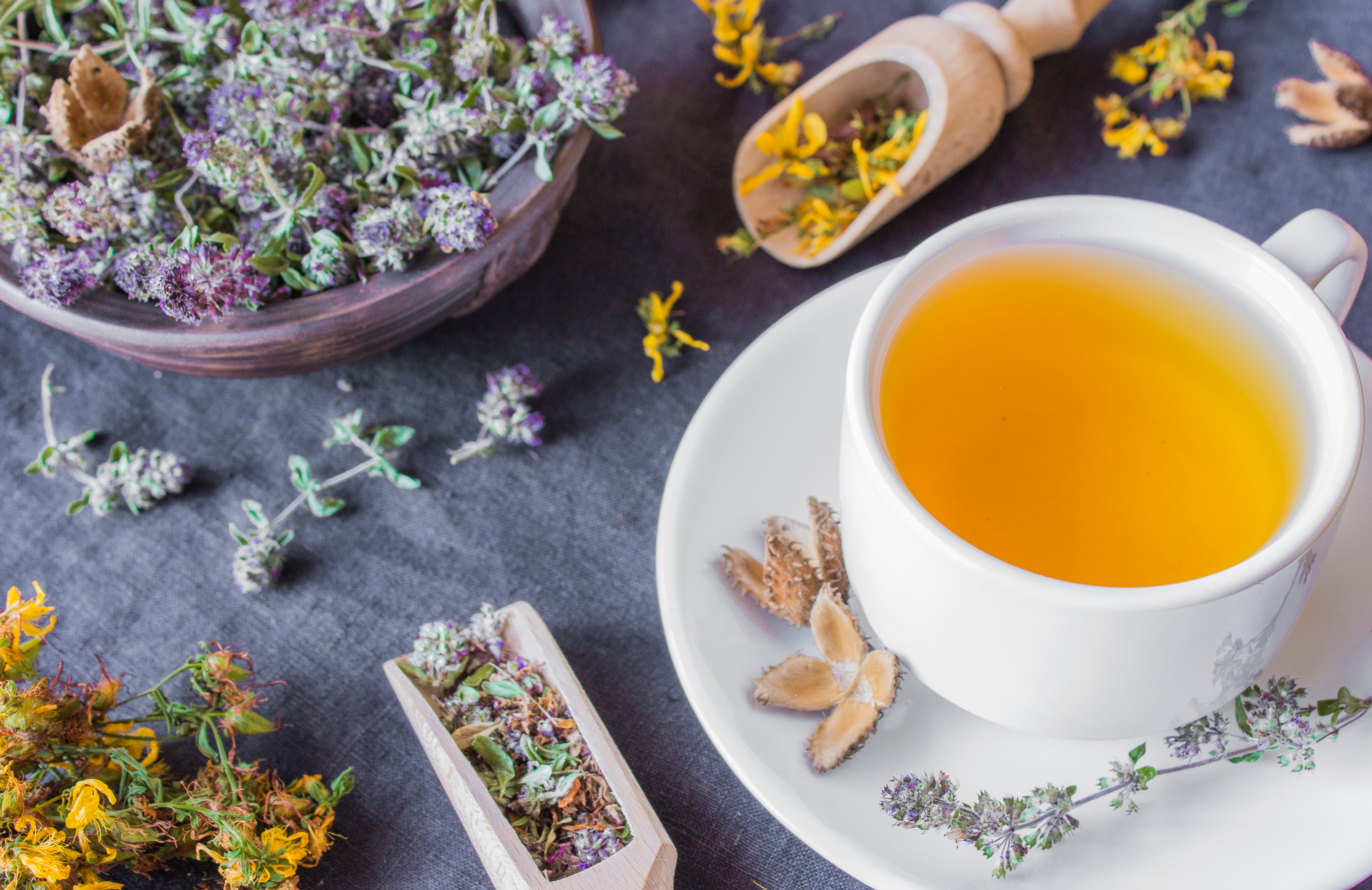 Las hierbas y plantas medicinales pueden ayudar a aliviar los dolores de cabezas y las migrañas, según expertos.