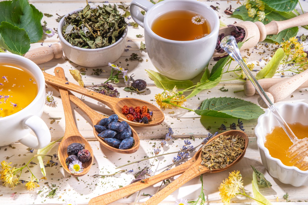 8 plantas medicinales para aliviar el dolor de cabeza y cómo usarlas