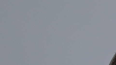 SM_headshot