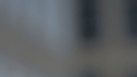 William Levy también estaría en una nueva relación, según informó a inicios de este año.