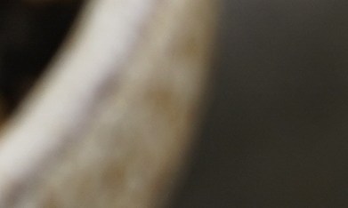 Agregar un toque de agua al batir los huevos genera vapor al contacto con el calor, logrando una textura mucho más ligera y esponjosa.