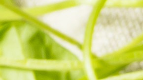 Hojas frescas de berro con su característico color verde intenso y forma redondeada, listas para un consumo crudo óptimo