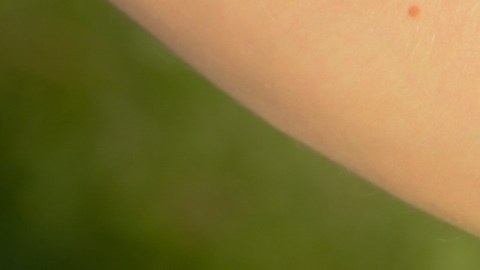 El poder de las porciones: Una pequeña porción de pimiento rojo o brócoli cubre gran parte de tu requerimiento diario de vitamina C