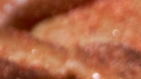 El pan de muerto es la perfecta unión entre tradición prehispánica y panificación artesanal: una joya de la gastronomía mexicana que literalmente nos permite comer cultura y memoria.