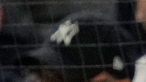 Jugadores de los Yankees de Nueva York permanecen de pie en la parte superior del dugout observando el partido contra los Rays de Tampa Bay durante la novena entrada del tercer juego de la Serie Divisional de la Liga Americana de béisbol, el miércoles 7 de octubre de 2026, en Nueva York.