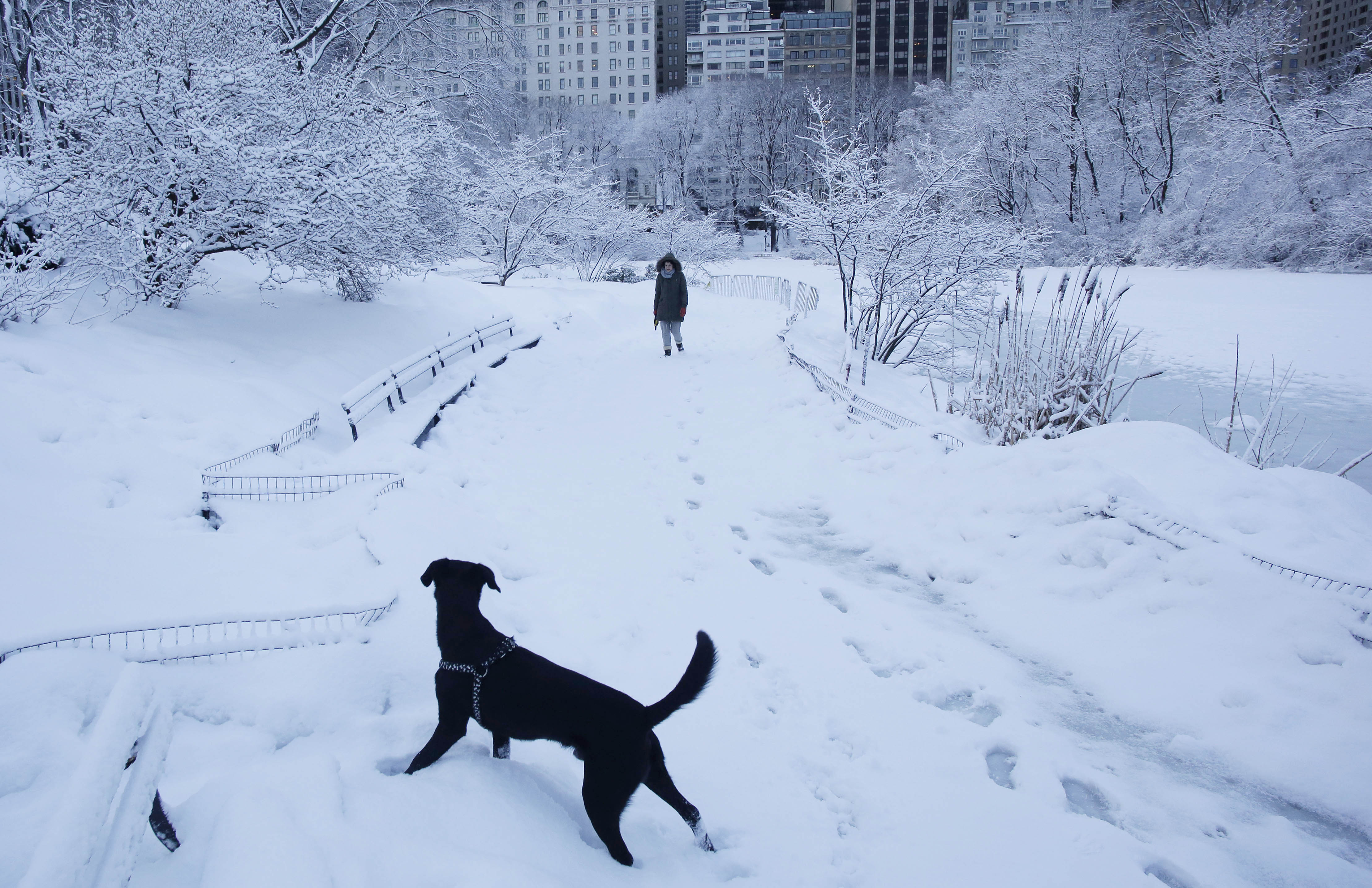 ¿Cuándo nevará en Nueva York?: pronóstico del invierno 2026-2027